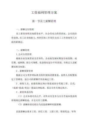 人力资源外包服务采购项目工资福利管理方案.docx