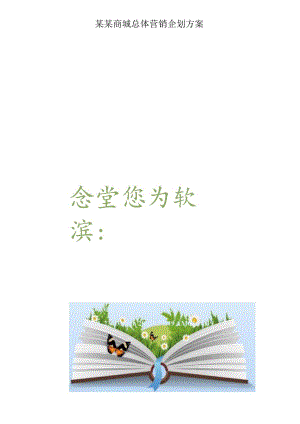 某某商城总体营销企划方案.docx