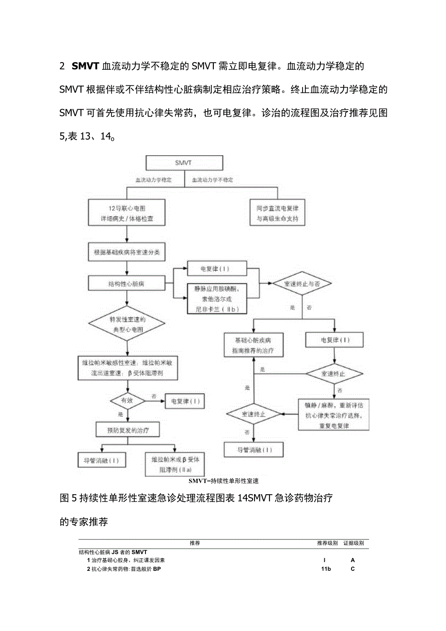 2023室性心律失常的急诊处理.docx_第3页