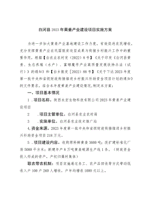 白河县2023年黄姜产业建设项目实施方案.docx