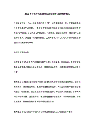 2023老年骨关节炎及骨质疏松症诊断与治疗推荐意见.docx