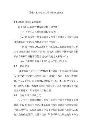 团滩河水库电站工程招标规划方案.docx