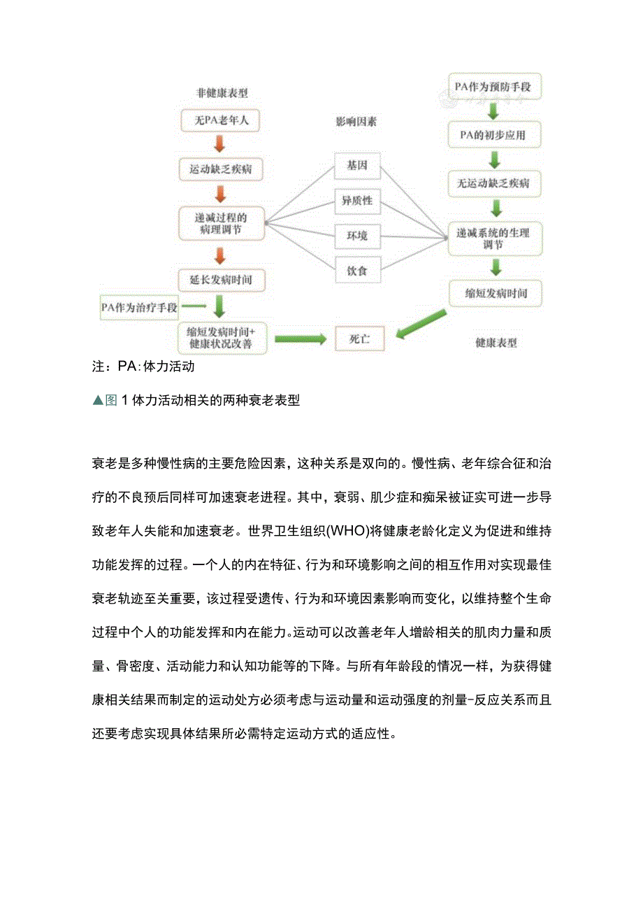 最新：老年人运动管理国际专家共识指南解读.docx_第3页