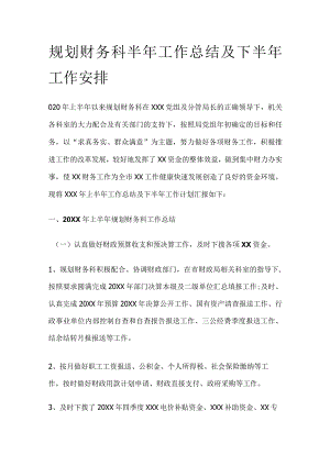 规划财务科半年工作总结及下半年工作安排.docx