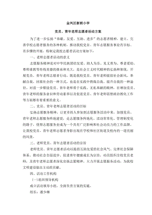 教师青年志愿者活动方案.docx