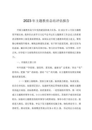 2023年主题教育总结评估报告（范文）.docx