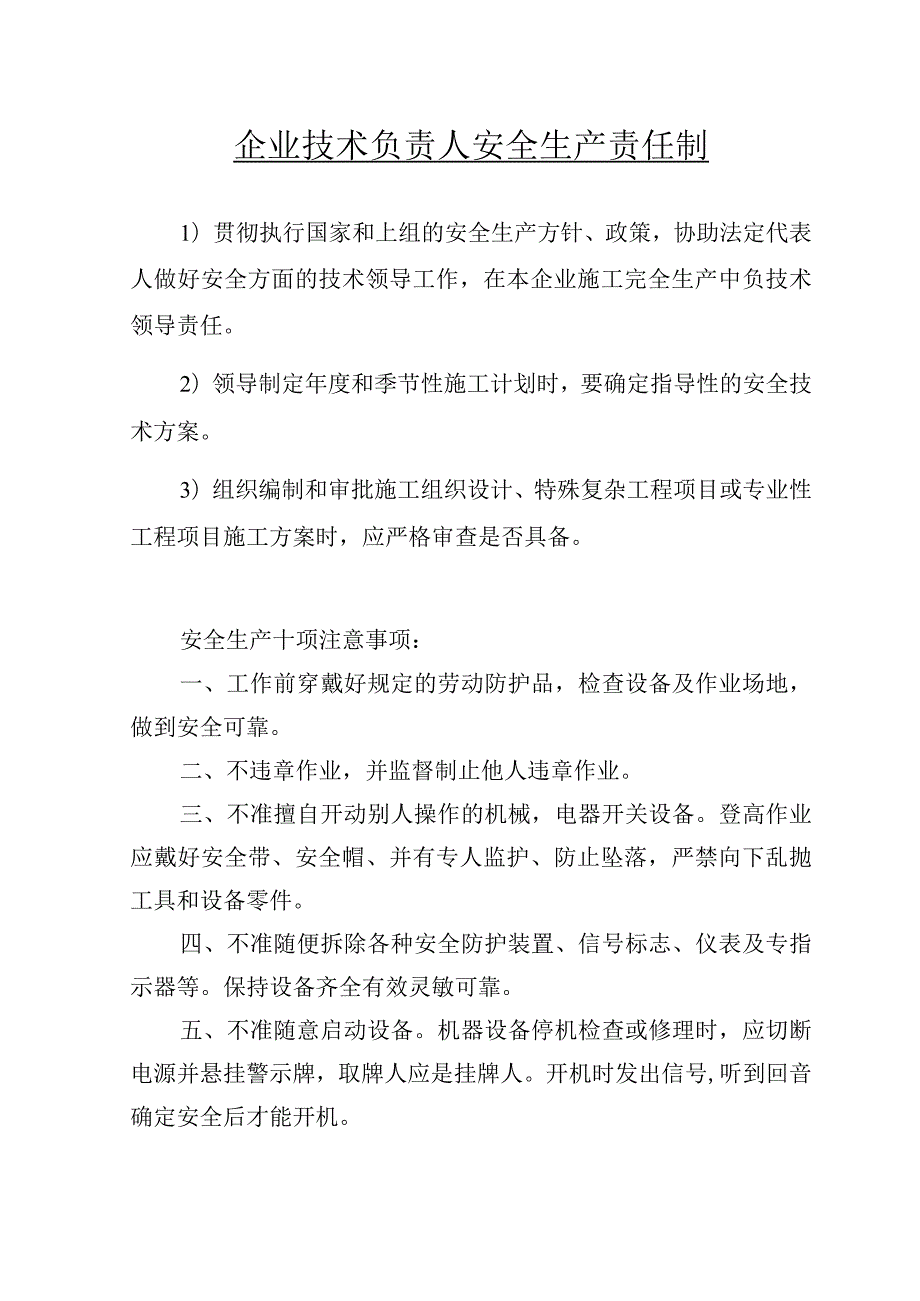 企业技术负责人安全生产责任制范文.docx_第1页