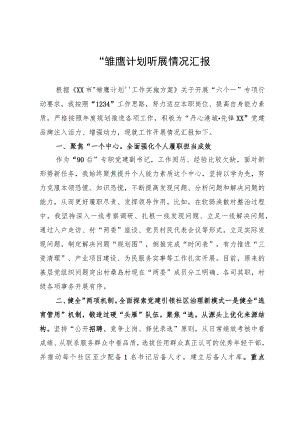 “雏鹰计划”开展情况总结汇报.docx