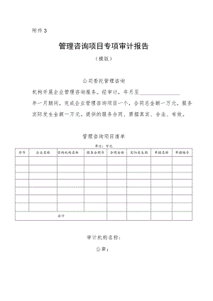 管理咨询项目专项审计报告（模版）.docx