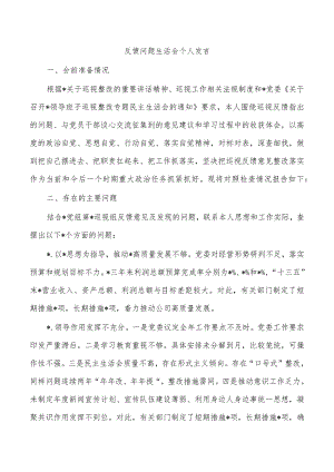 反馈问题生活会个人发言.docx