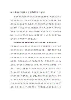 纪检监察干部队伍教育整顿学习感悟.docx