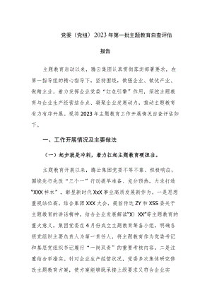 党委(党组)2023年第一批主题教育自查评估报告及阶段总结范文.docx