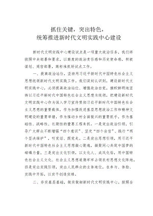 抓住关键突出特色统筹推进新时代文明实践中心建设.docx