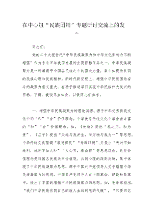 在中心组“民族团结”专题研讨交流上的发言.docx