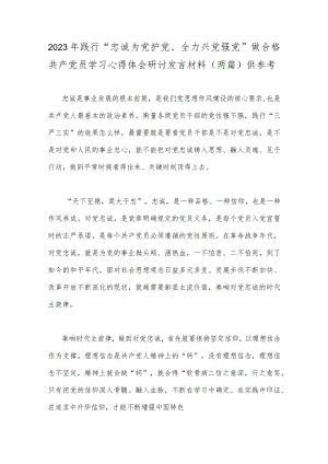 2023年践行“忠诚为党护党、全力兴党强党”做合格共产党员学习心得体会研讨发言材料（两篇）供参考.docx