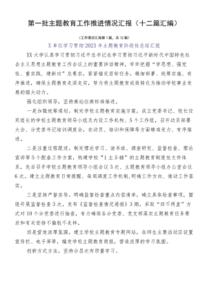 第一批主题教育工作推进情况汇报（十二篇汇编）.docx