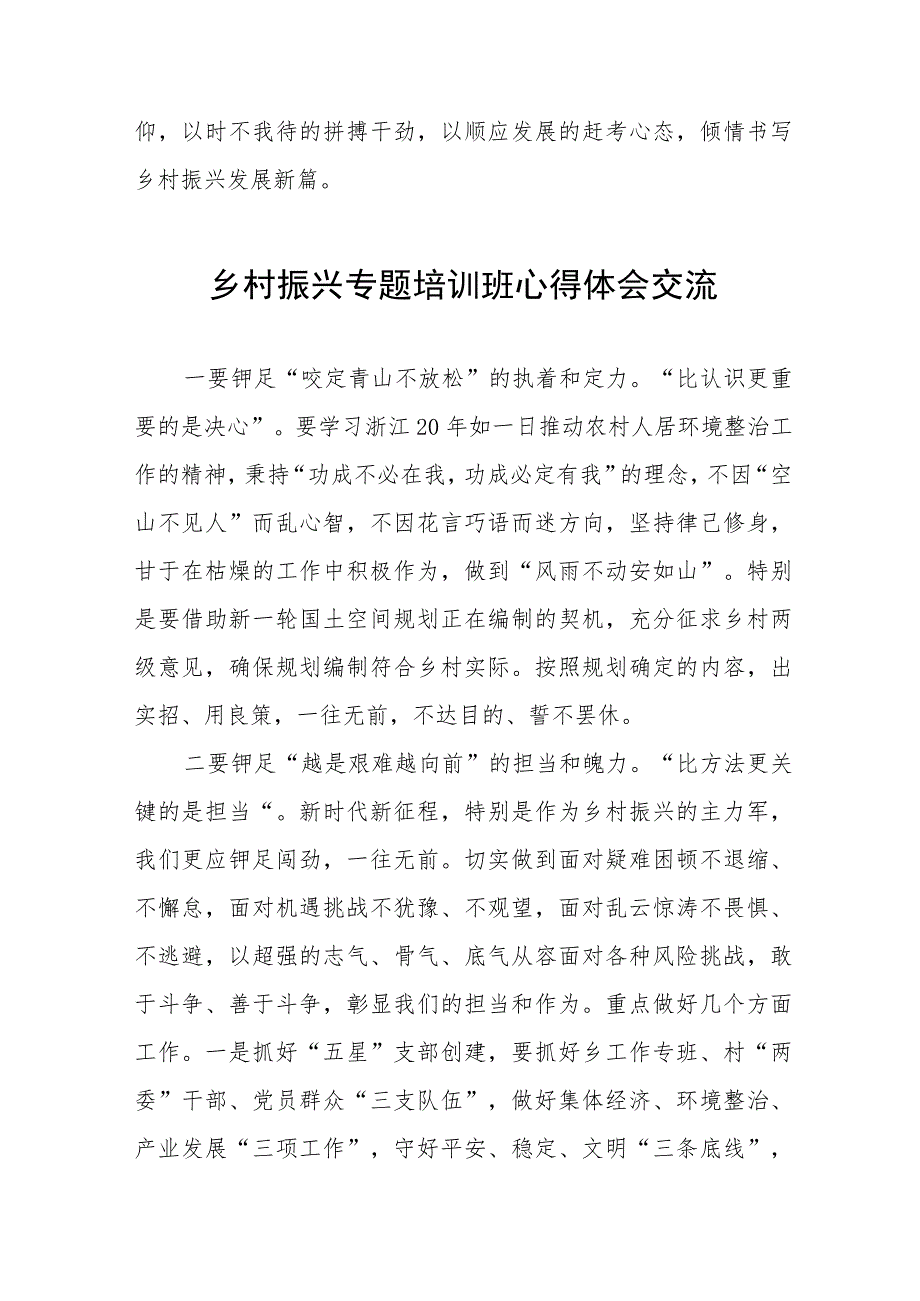 践行党的二十大乡村振兴研讨交流材料(五篇).docx_第3页