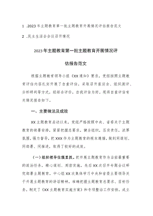 2023年主题教育第一批主题教育开展情况评估报告及民主生活会开展情况报告范文2篇.docx