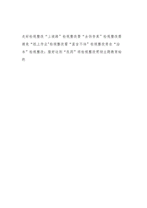 2023年主题教育开展做好检视整改工作专题学习心得体会感想7篇.docx