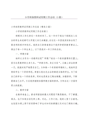 小学班级教师试用期工作总结（3篇）.docx