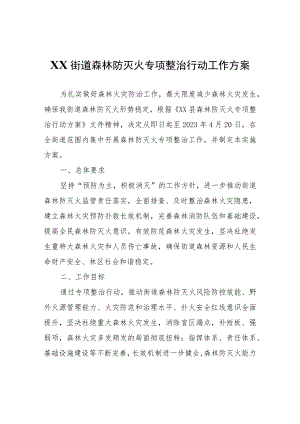 XX街道森林防灭火专项整治行动工作方案.docx