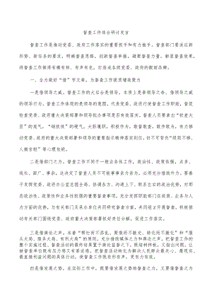 督查工作体会研讨发言.docx