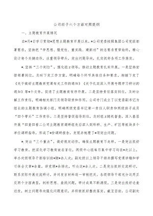 公司班子六个方面对照提纲.docx