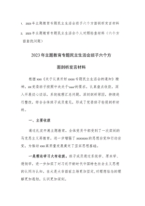 2篇：2023年主题教育专题民主生活会班子（个人）六个方面剖析发言材料范文.docx