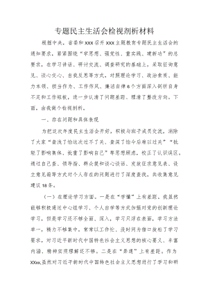 专题民主生活会检视剂析材料.docx