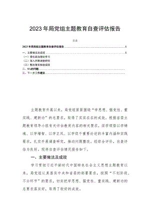 2023年局党组主题教育自查评估报告.docx