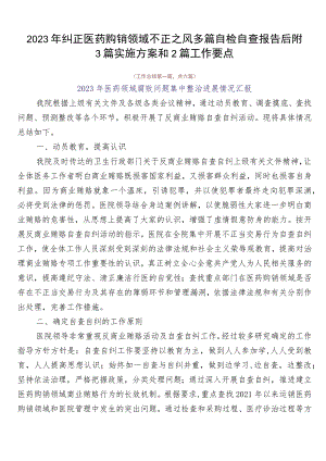 2023年纠正医药购销领域不正之风多篇自检自查报告后附3篇实施方案和2篇工作要点.docx