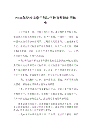 2023年纪检监察干部队伍教育整顿心得体会(八篇).docx