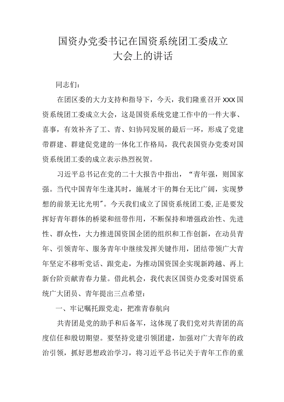 国资办党委书记在国资系统团工委成立大会上的讲话.docx_第1页