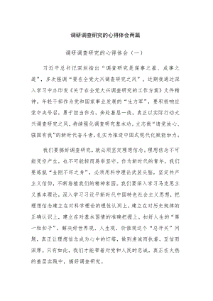 调研调查研究的心得体会两篇范文.docx