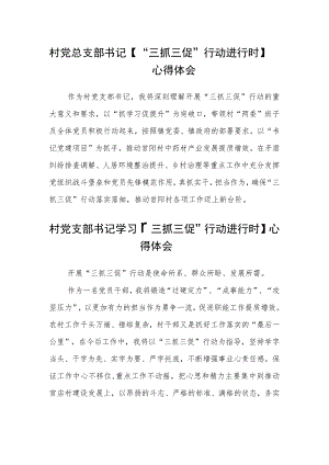 村党总支部书记【“三抓三促”行动进行时】心得体会(通用三篇).docx