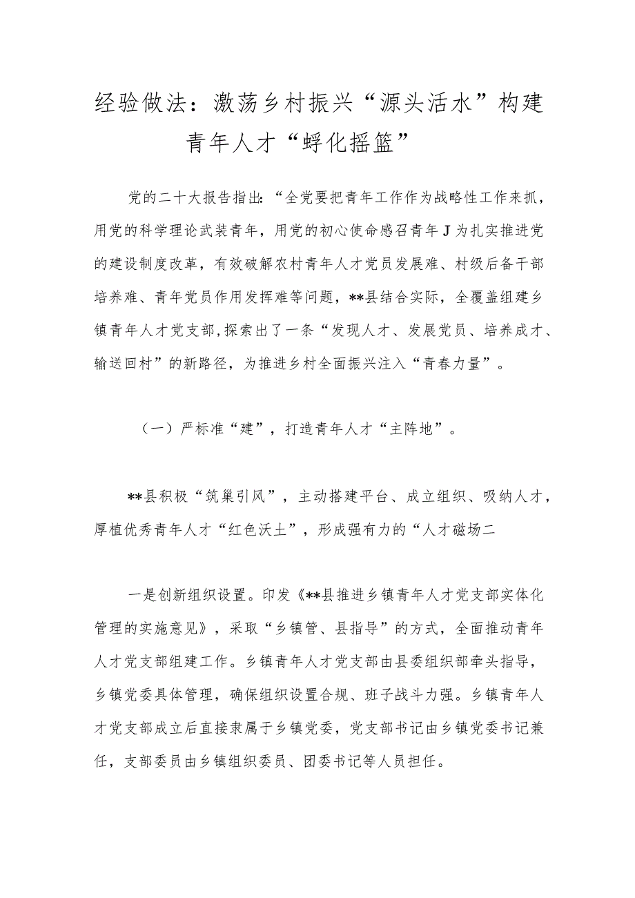 经验交流：激荡乡村振兴“源头活水” 构建青年人才“孵化摇篮”.docx_第1页