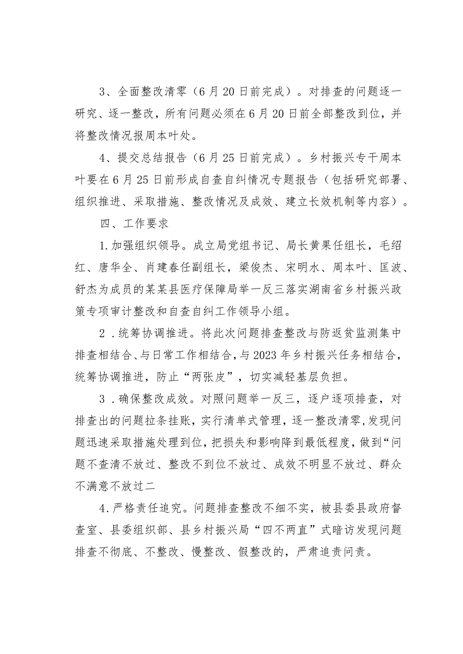 某某县医疗保障局举一反三落实湖南省乡村振兴政策专项审计整改和自查自纠工作实施方案.docx_第3页