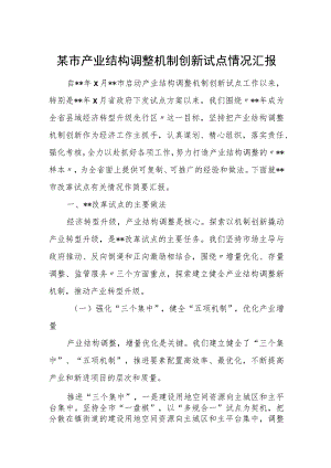 某市产业结构调整机制创新试点情况汇报.docx