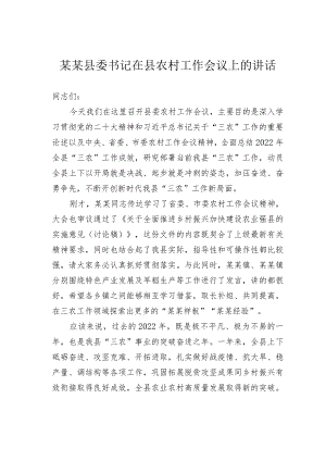 某某县委书记在县农村工作会议上的讲话.docx