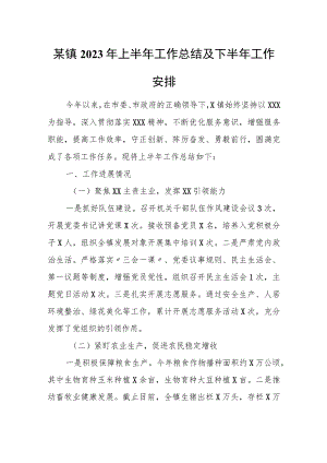 某镇2023年上半年工作总结及下半年工作安排.docx