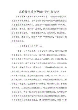 在迎接市委指导组时的汇报提纲.docx