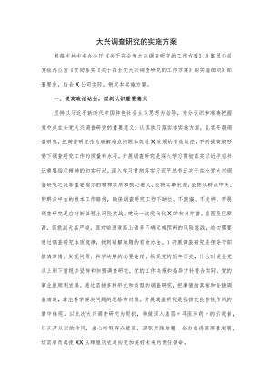 大兴调查研究的实施方案优选.docx