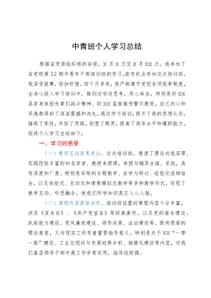 中青年干部培训班个人学习总结.docx