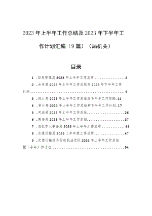 2023年上半年工作总结及2023年下半年工作计划汇编（9篇）（局机关）.docx