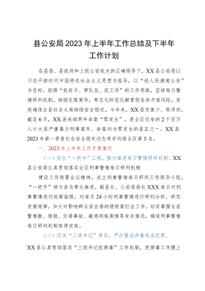 县公安局2023年上半年工作总结及下半年工作计划.docx