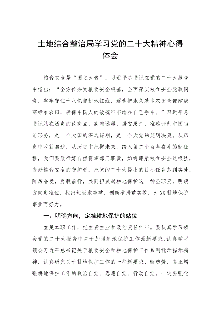 土地综合整治局学习党的二十大精神心得体会八篇.docx_第1页