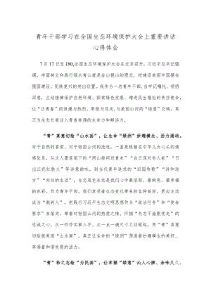 青年干部学习在全国生态环境保护大会上重要讲话心得体会.docx