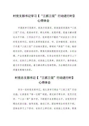 村党支部书记学习【“三抓三促”行动进行时】心得体会(通用三篇).docx