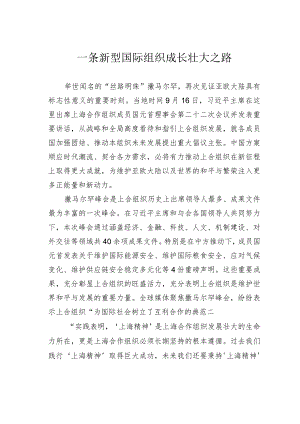 一条新型国际组织成长壮大之路.docx