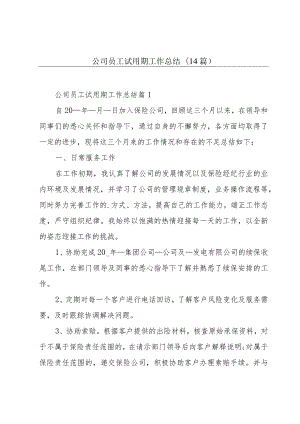 公司员工试用期工作总结(14篇).docx